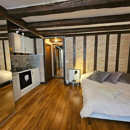 Cozy Nest Historic Neighborhood 公寓 图尔